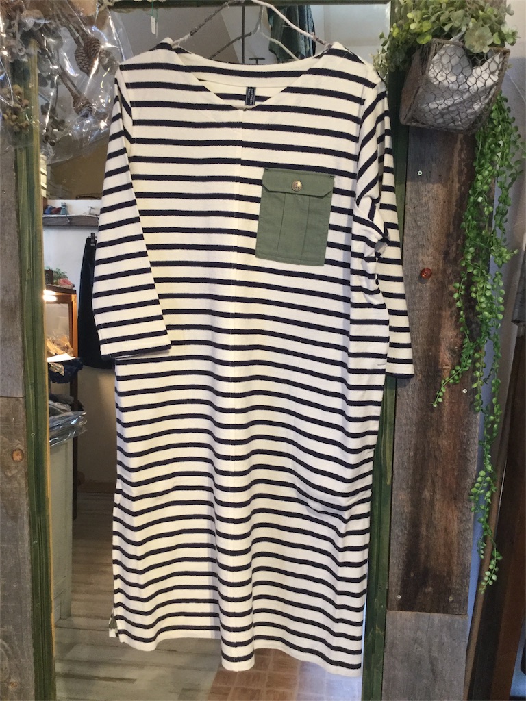 f:id:zappa38:20170305213647j:image