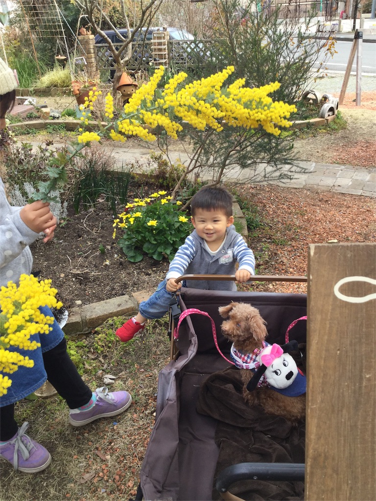 f:id:zappa38:20170326191555j:image