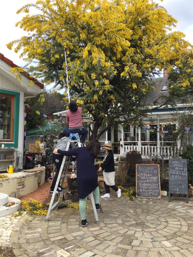 f:id:zappa38:20170326191737j:image