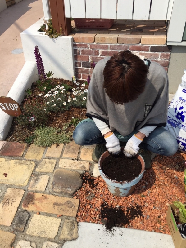 f:id:zappa38:20170329203200j:plain