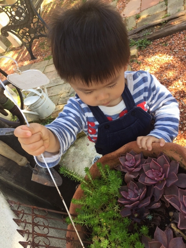 f:id:zappa38:20170419201045j:plain f:id:zappa38:20170419201045j:plain