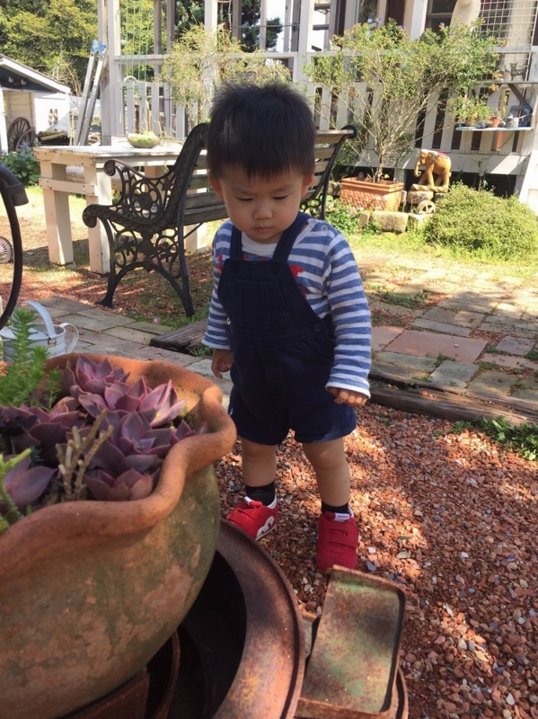 f:id:zappa38:20170419201046j:plain f:id:zappa38:20170419201046j:plain