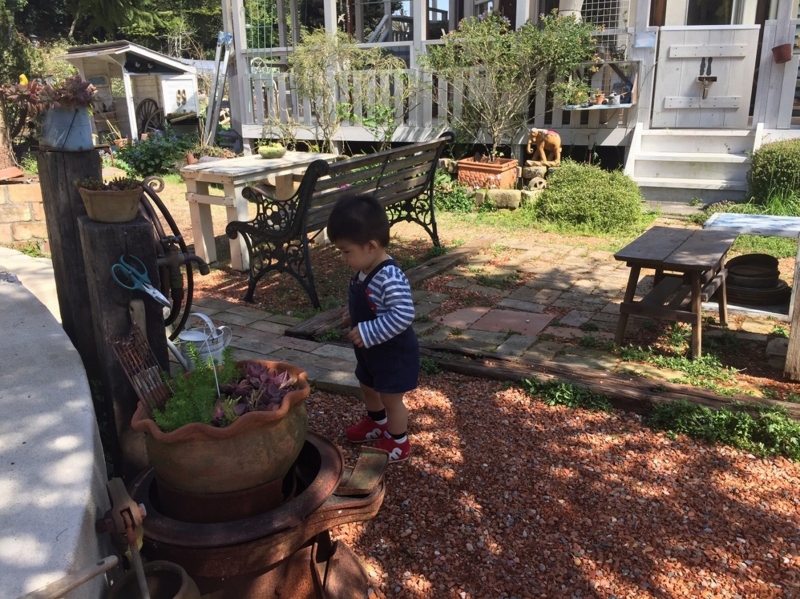 f:id:zappa38:20170419201047j:plain f:id:zappa38:20170419201047j:plain