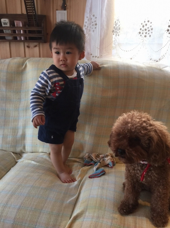 f:id:zappa38:20170419201050j:plain f:id:zappa38:20170419201050j:plain