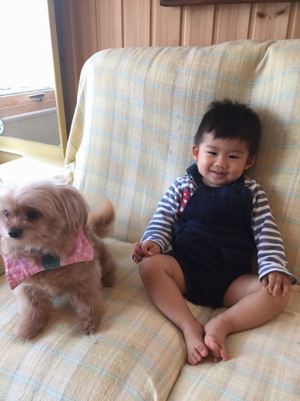 f:id:zappa38:20170419201051j:plain f:id:zappa38:20170419201051j:plain