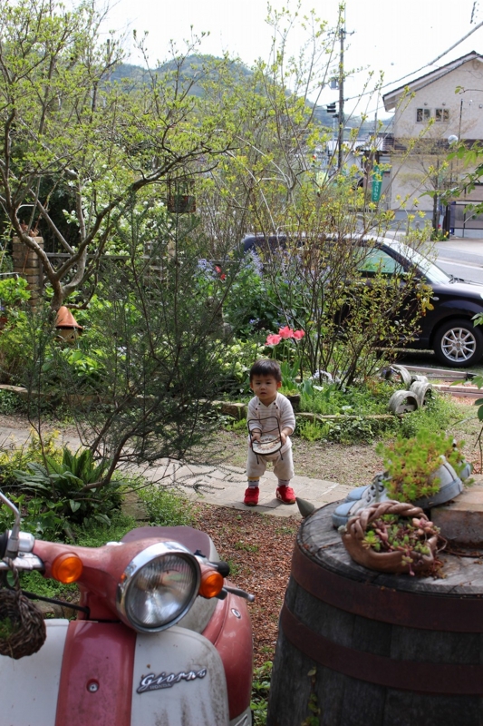 f:id:zappa38:20170421215555j:plain