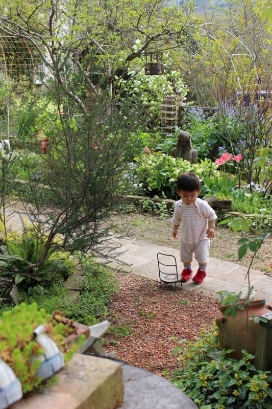 f:id:zappa38:20170421215556j:plain