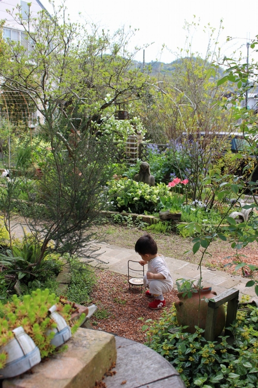 f:id:zappa38:20170421215557j:plain