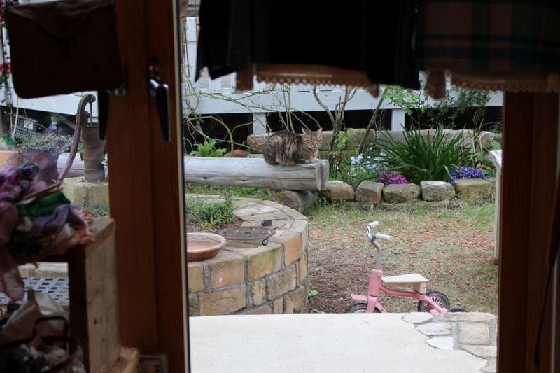 f:id:zappa38:20170421215604j:plain