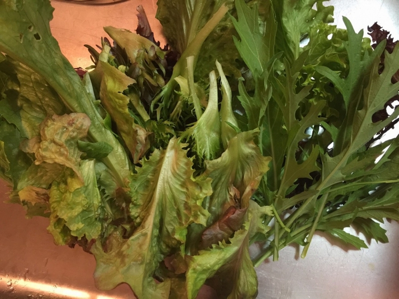 f:id:zappa38:20170422211213j:plain