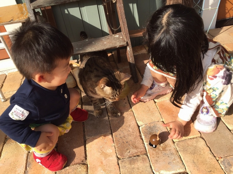 f:id:zappa38:20170422211223j:plain