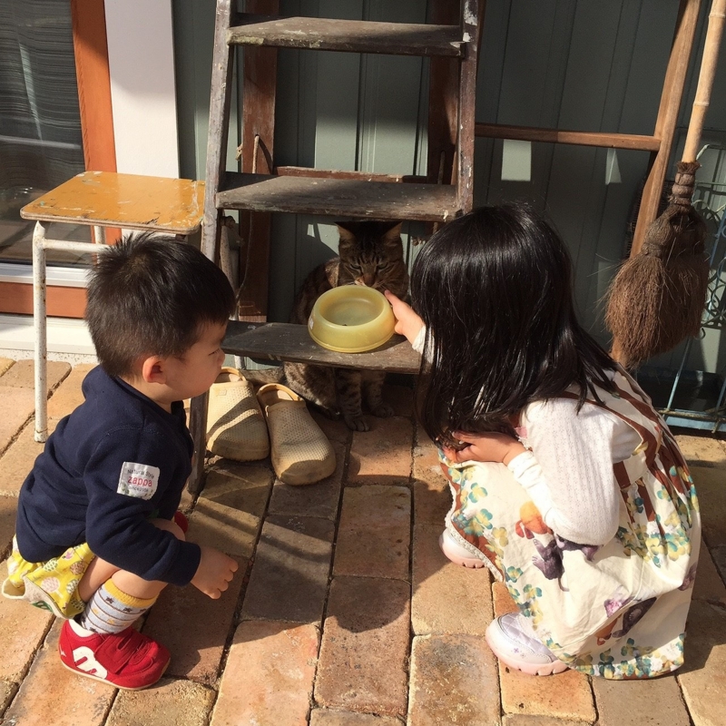 f:id:zappa38:20170422211224j:plain