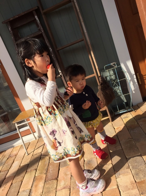 f:id:zappa38:20170422211225j:plain