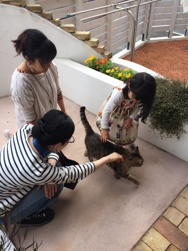 f:id:zappa38:20170422211228j:plain