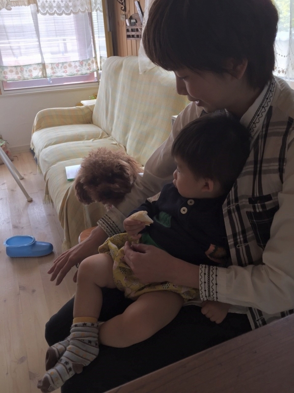 f:id:zappa38:20170422211236j:plain