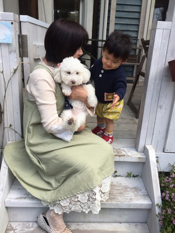 f:id:zappa38:20170422211250j:plain