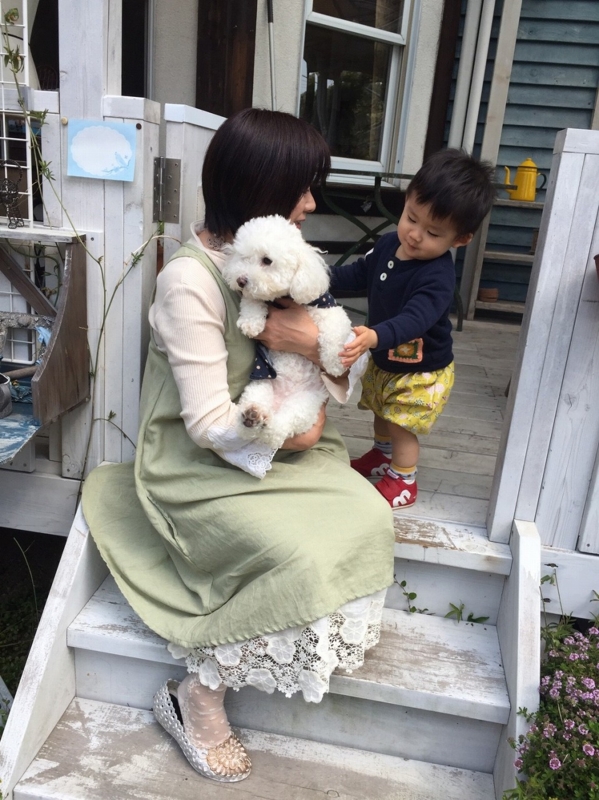 f:id:zappa38:20170422211251j:plain