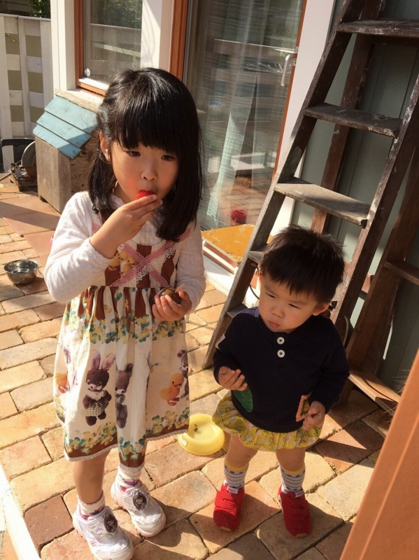 f:id:zappa38:20170422211257j:plain