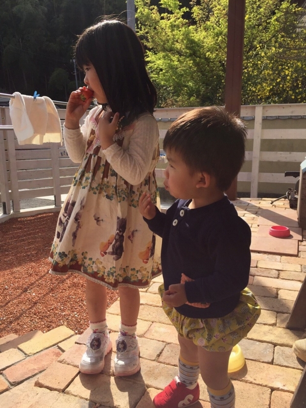 f:id:zappa38:20170422211301j:plain