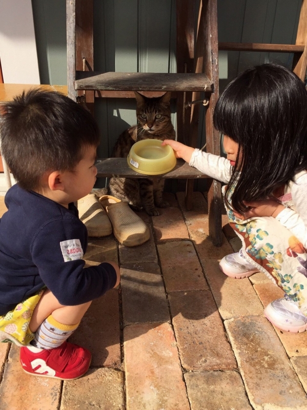 f:id:zappa38:20170422211302j:plain