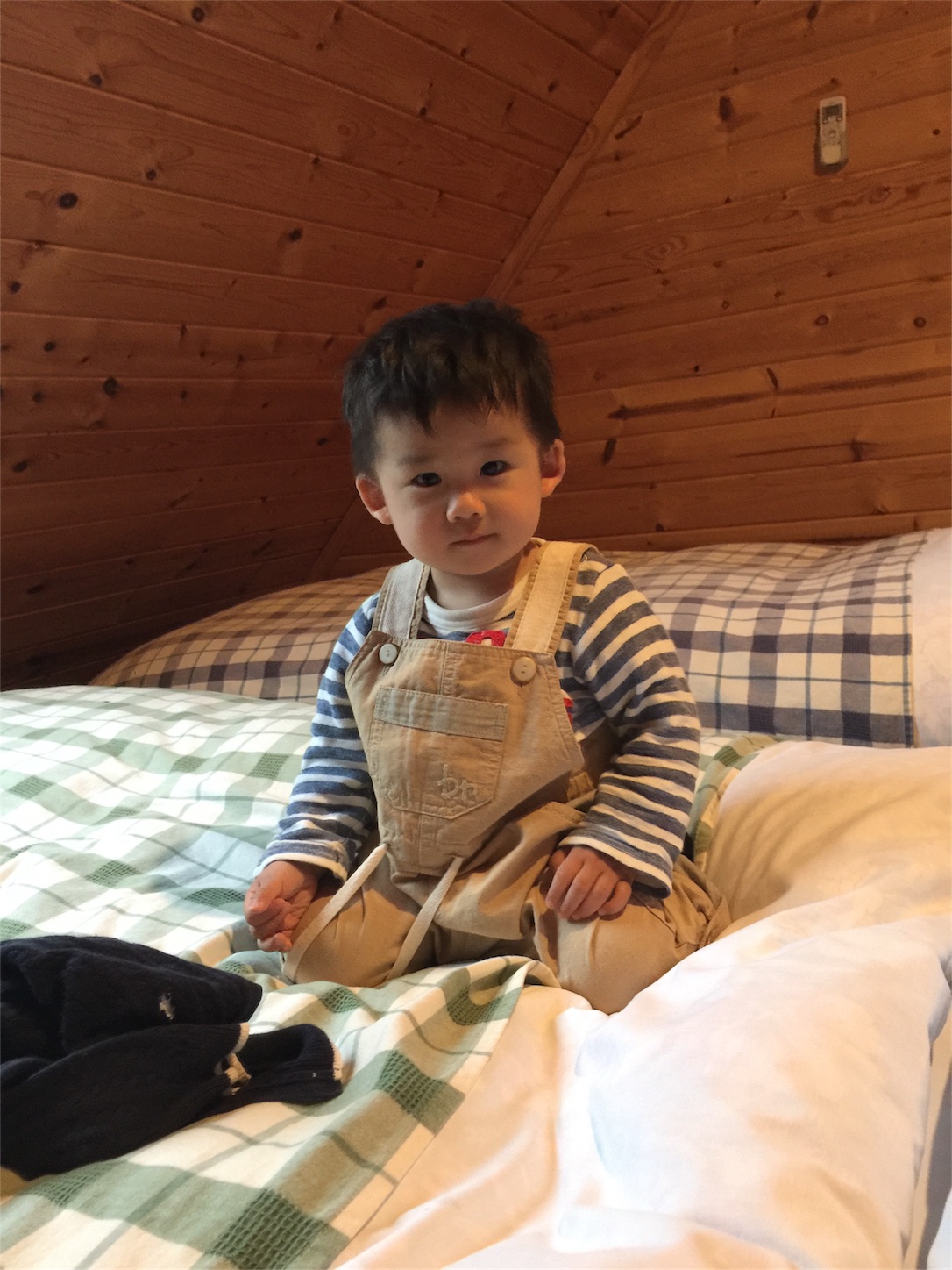 f:id:zappa38:20170426214330j:image