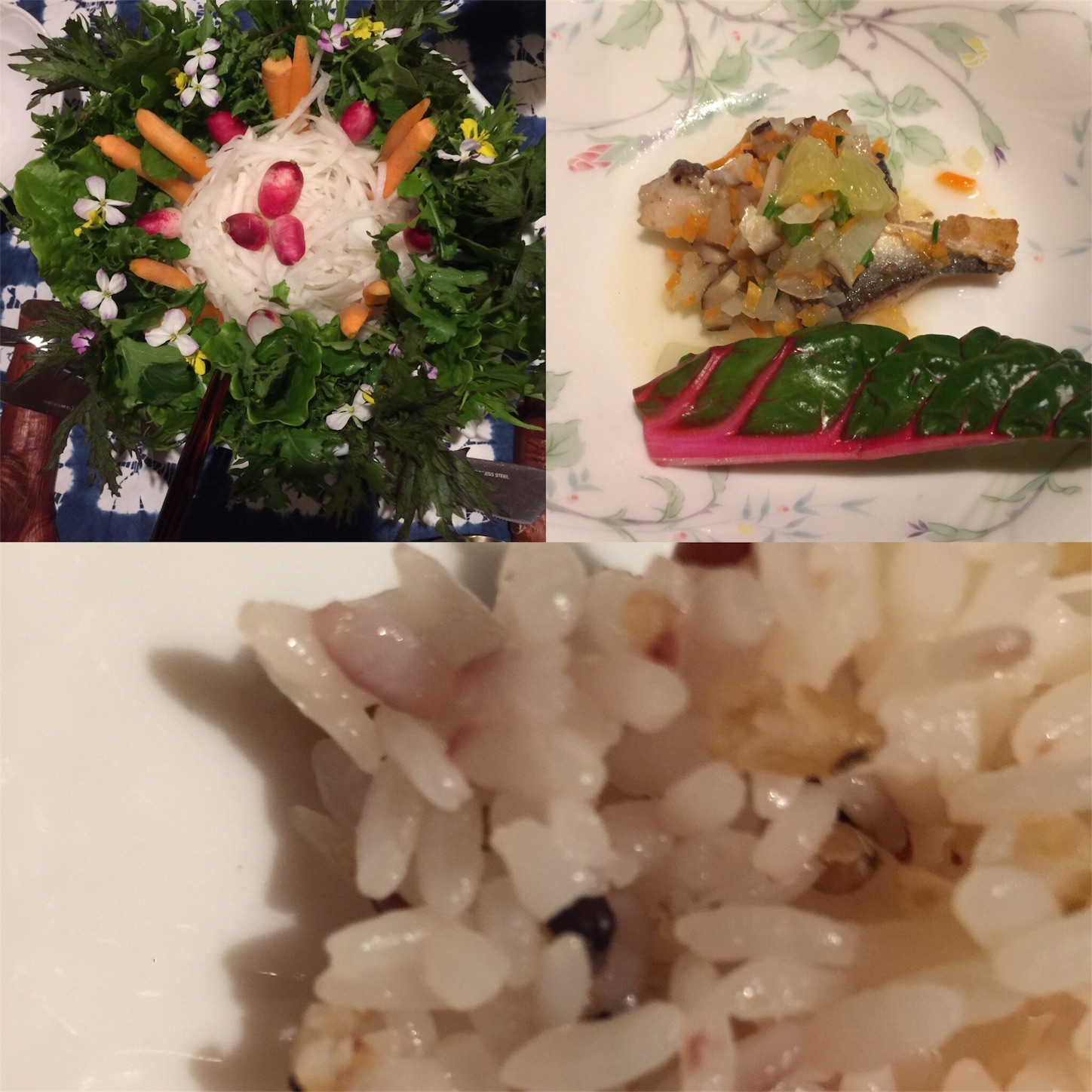 f:id:zappa38:20170426214350j:image