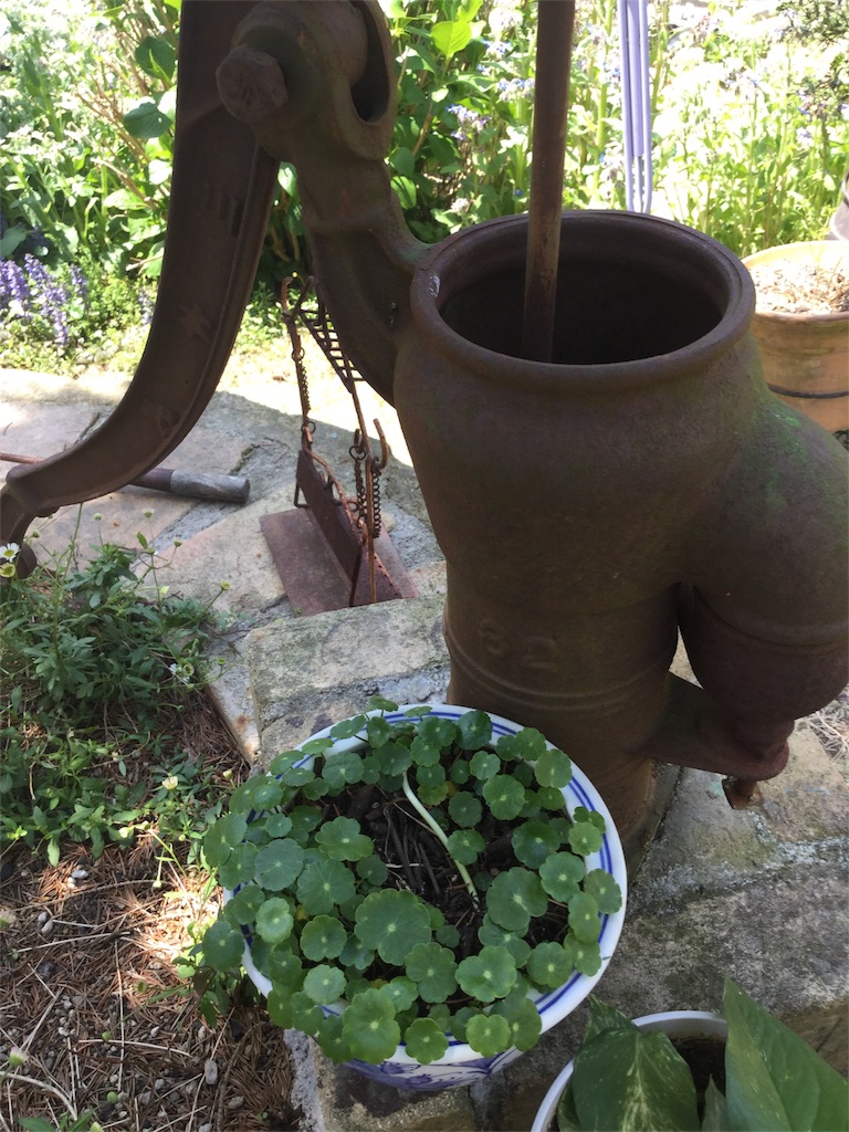 f:id:zappa38:20170430194959j:image