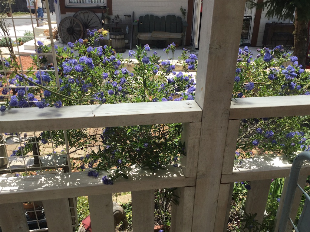 f:id:zappa38:20170430195031j:image