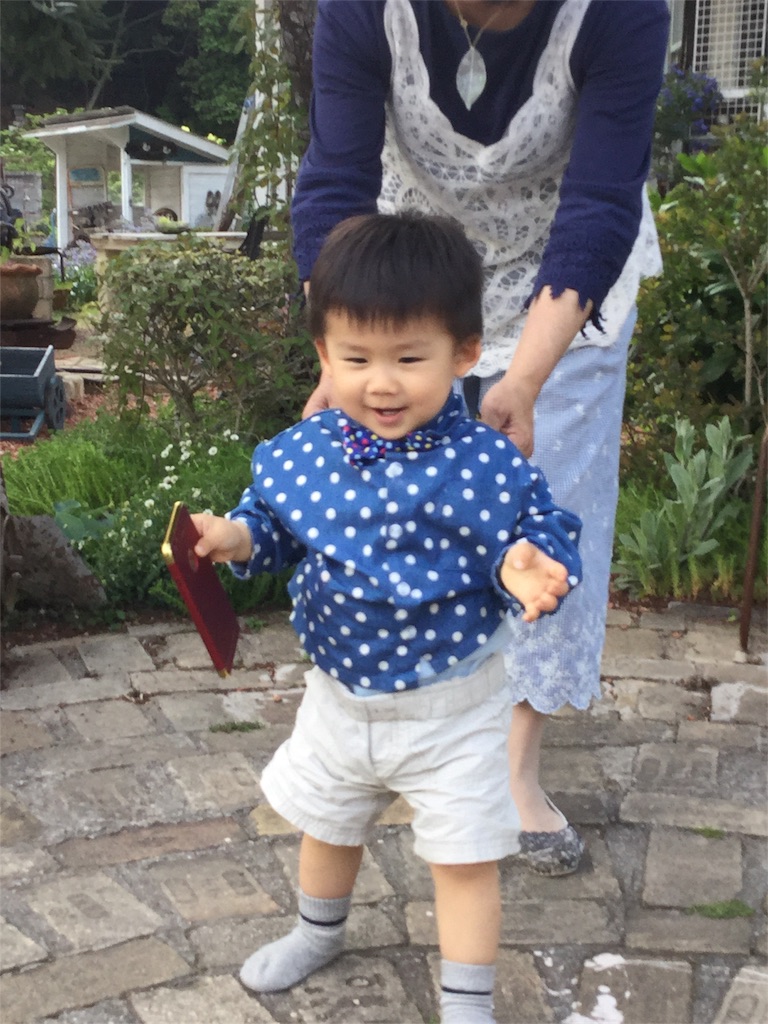 f:id:zappa38:20170430195316j:image