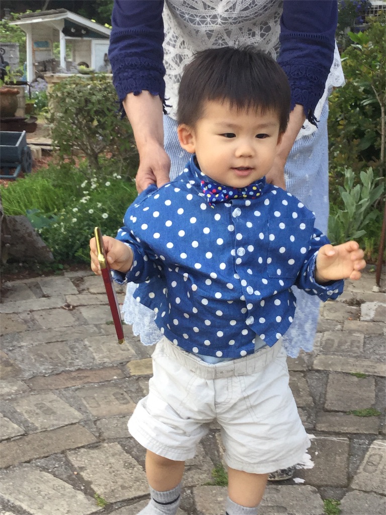 f:id:zappa38:20170430195323j:image