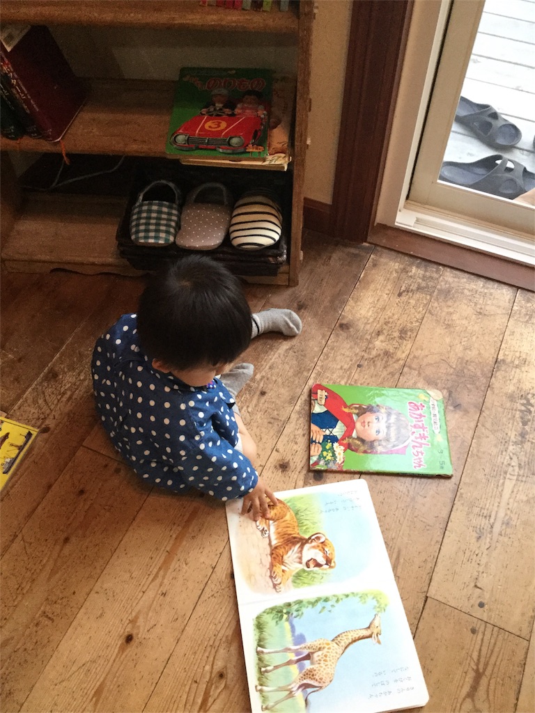 f:id:zappa38:20170430195346j:image