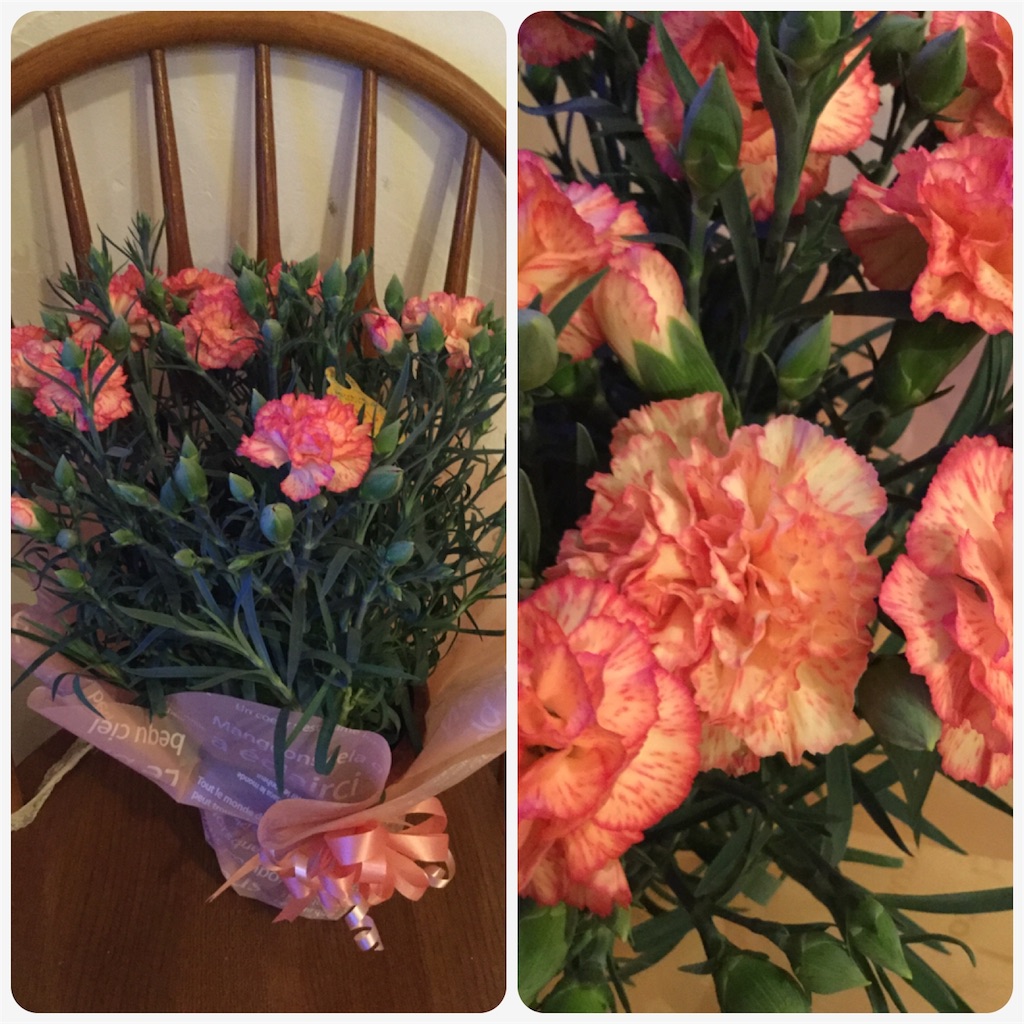 f:id:zappa38:20170514200324j:image