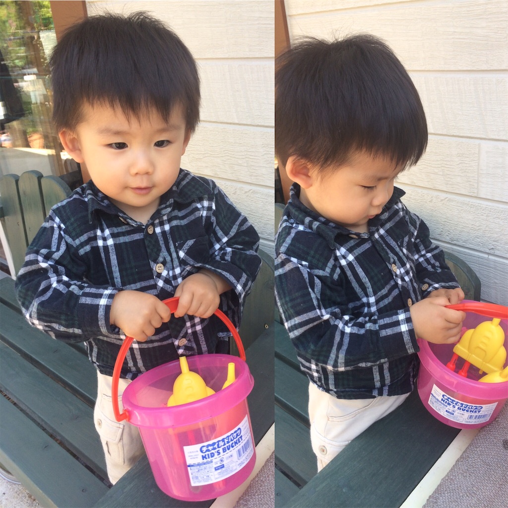 f:id:zappa38:20170514205343j:image