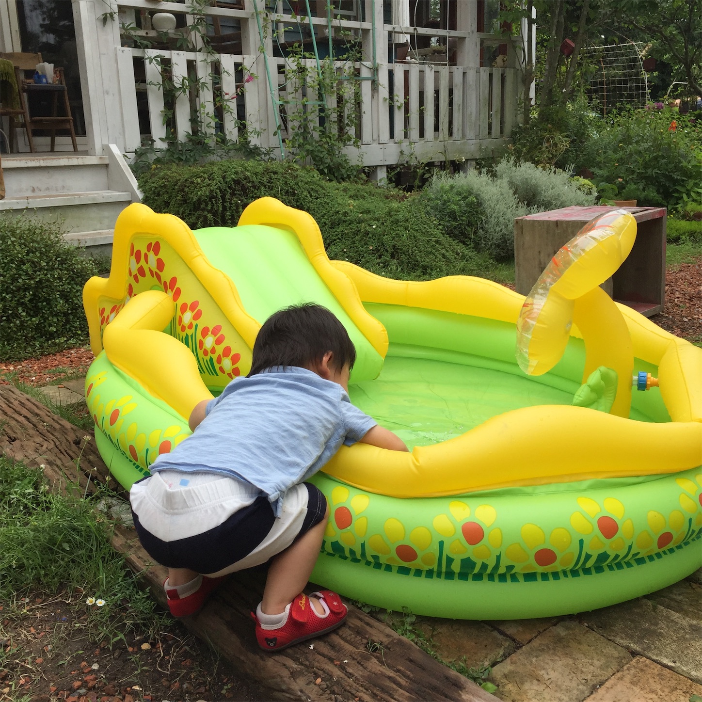 f:id:zappa38:20170708181448j:image f:id:zappa38:20170708181448j:image