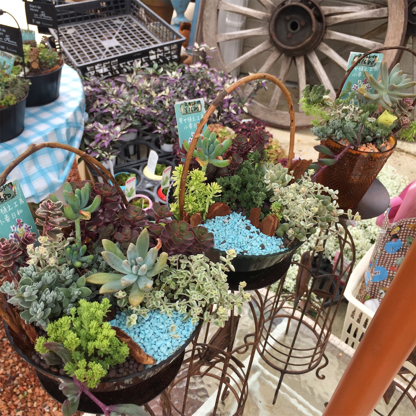 f:id:zappa38:20170708181532j:image f:id:zappa38:20170708181532j:image