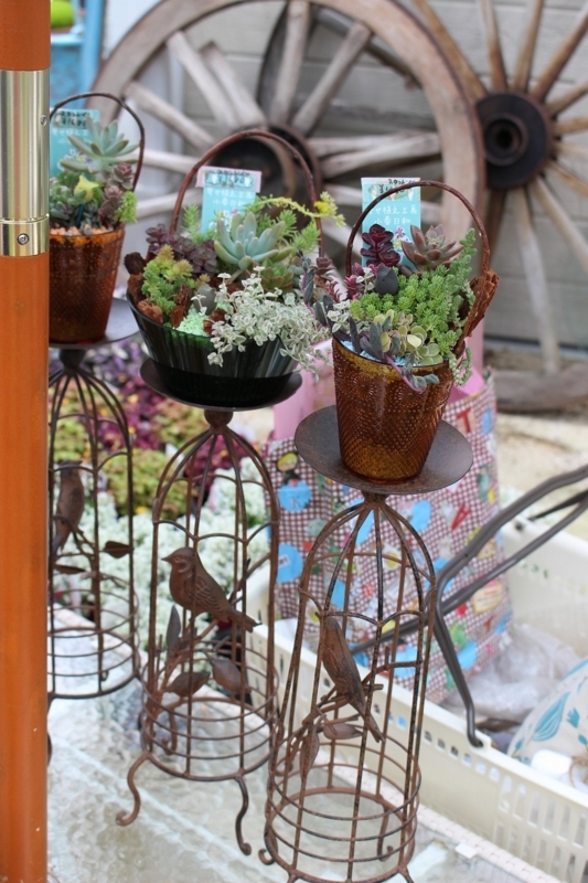 f:id:zappa38:20170708183910j:plain f:id:zappa38:20170708183910j:plain