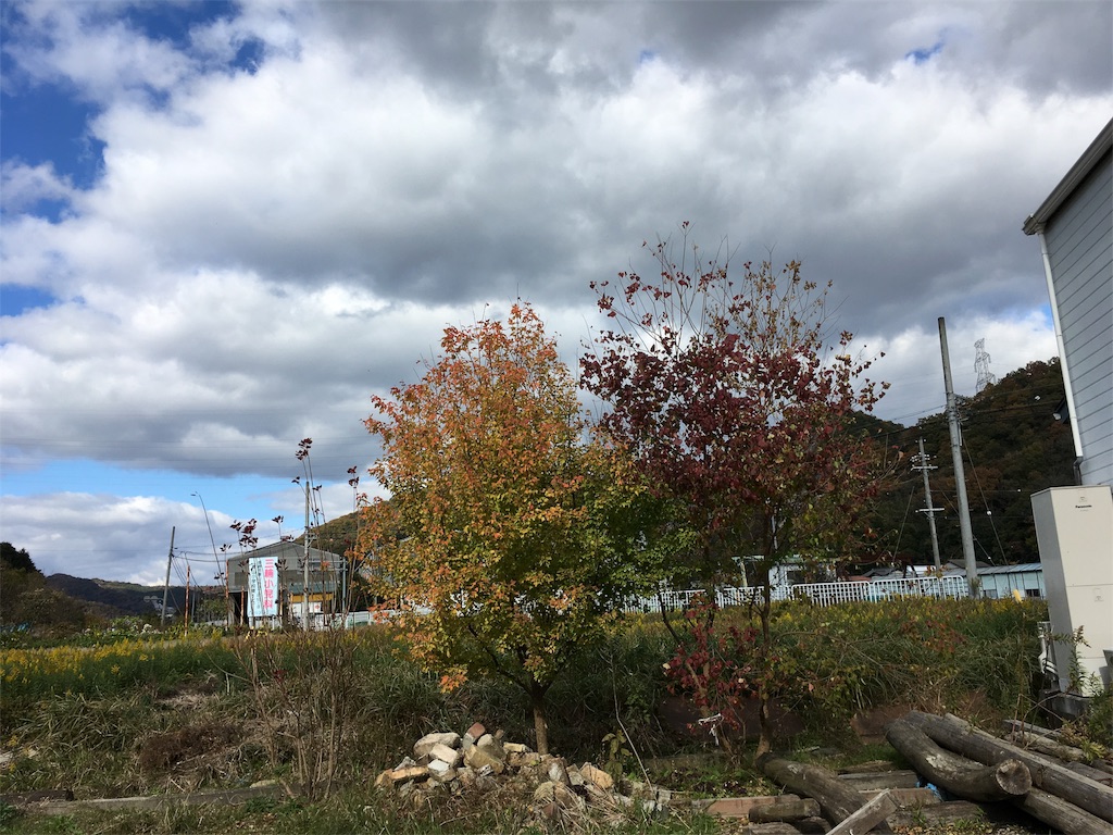 f:id:zappa38:20171121191347j:image