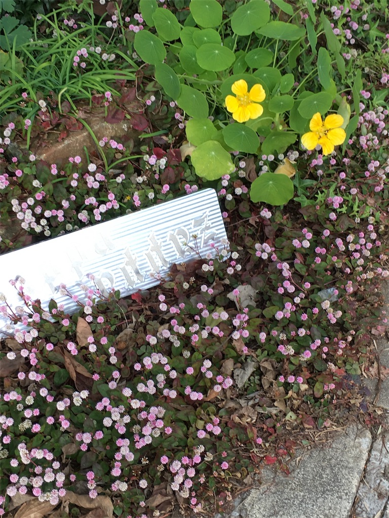 f:id:zappa38:20171121191423j:image