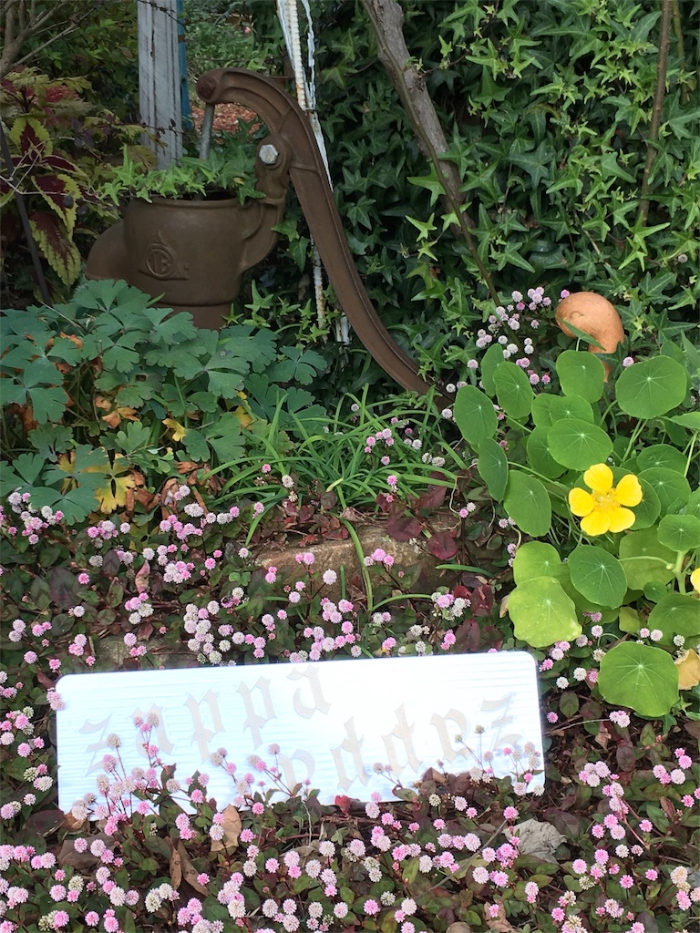 f:id:zappa38:20171121191433j:image