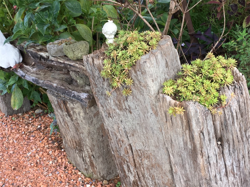 f:id:zappa38:20171121191444j:image