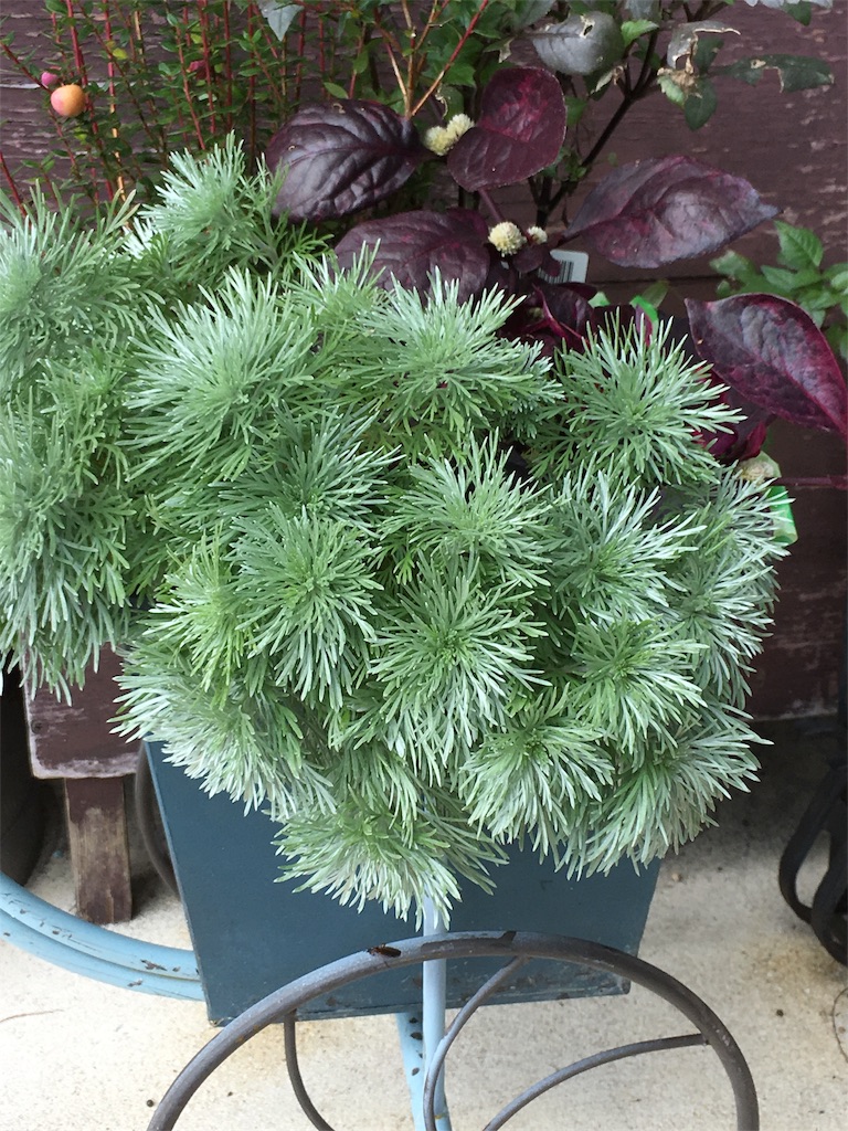 f:id:zappa38:20171121191452j:image