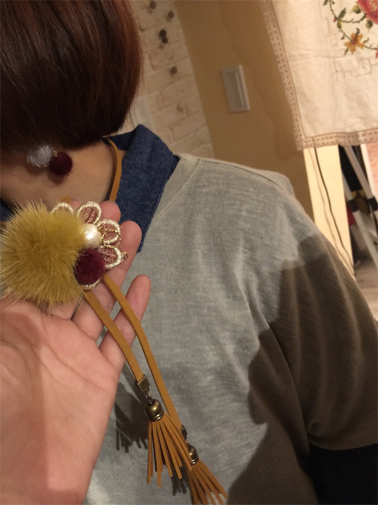 f:id:zappa38:20171124205054j:image