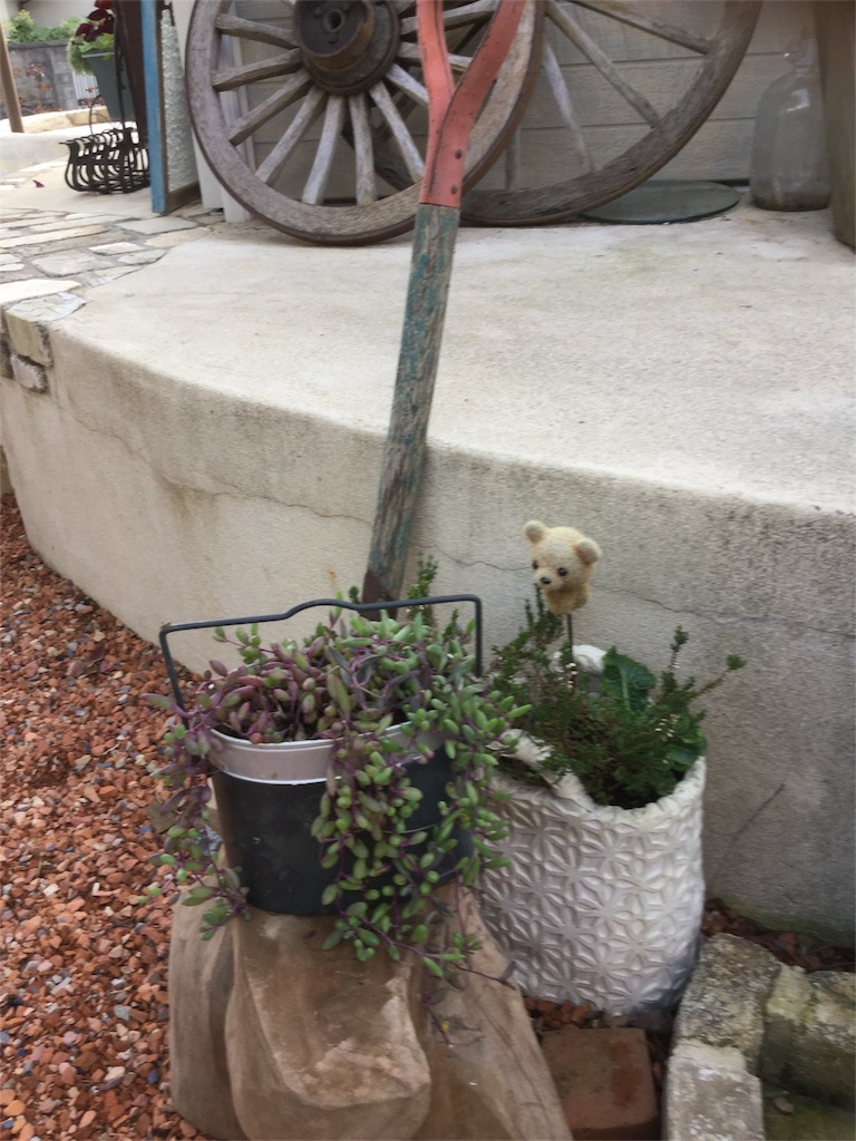 f:id:zappa38:20171127210332j:image