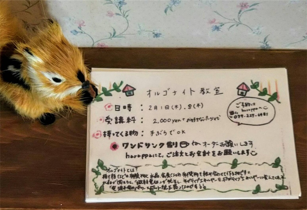 f:id:zappa38:20180130015851j:image