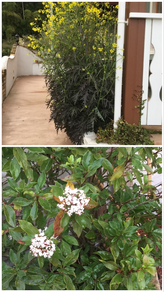 f:id:zappa38:20180407211609j:image