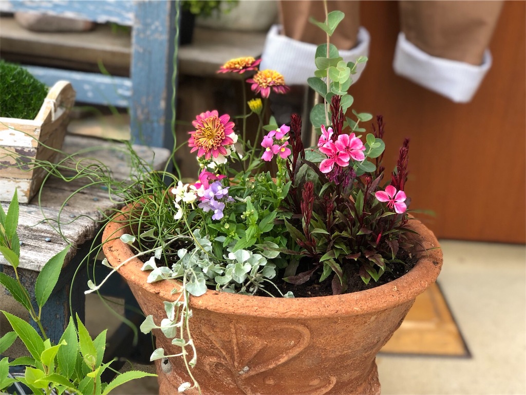 f:id:zappa38:20180428205501j:image f:id:zappa38:20180428205501j:image
