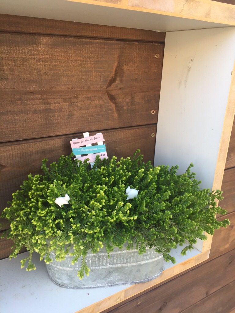 f:id:zappa38:20180505193722j:image f:id:zappa38:20180505193722j:image