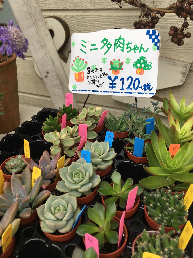 f:id:zappa38:20180608195051j:image