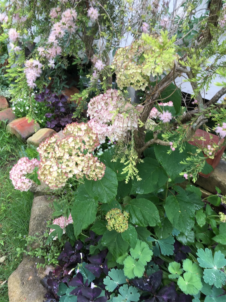 f:id:zappa38:20180608195116j:image