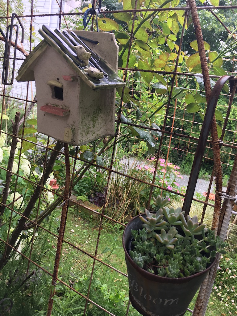 f:id:zappa38:20180608195223j:image